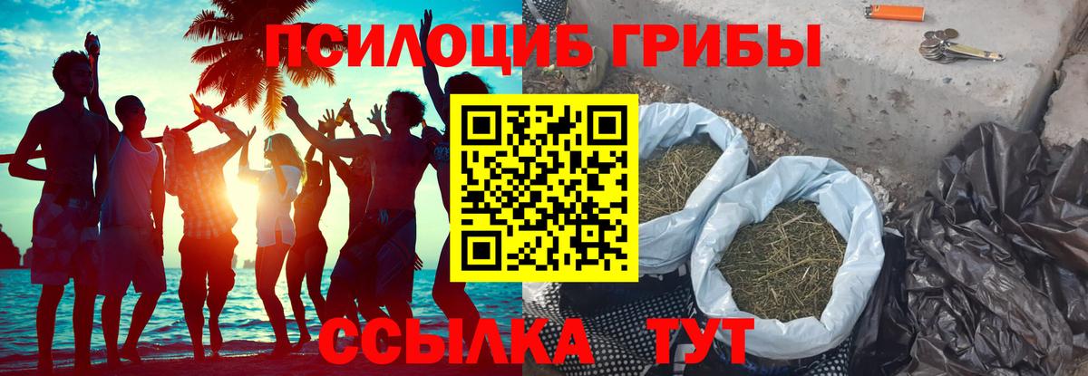 Коломна  Галлюциногенные грибы Cubensis  Вход с VPN 