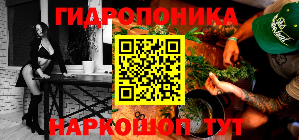 Бошки марихуана сатива  Конопля планчик  Вход с VPN  Марихуана сатива  Коломна 